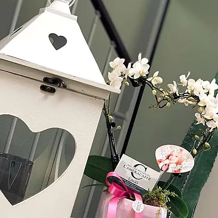 Cameracaffe Sul Bed & Breakfast