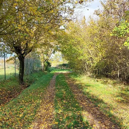 Cameracaffe Sul Arezzo