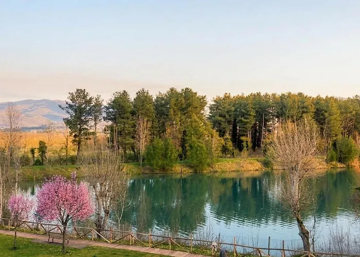 Bed & Breakfast Cameracaffe Sul